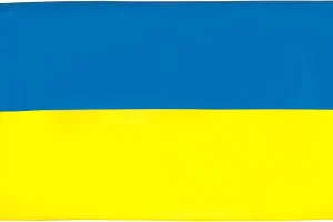 51k-guCtoAL._AC_UF1000,1000_QL80_